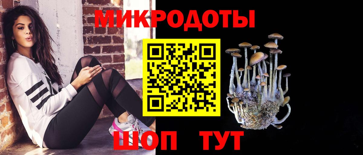 Псилоцибиновые грибы прущие грибы Заволжье